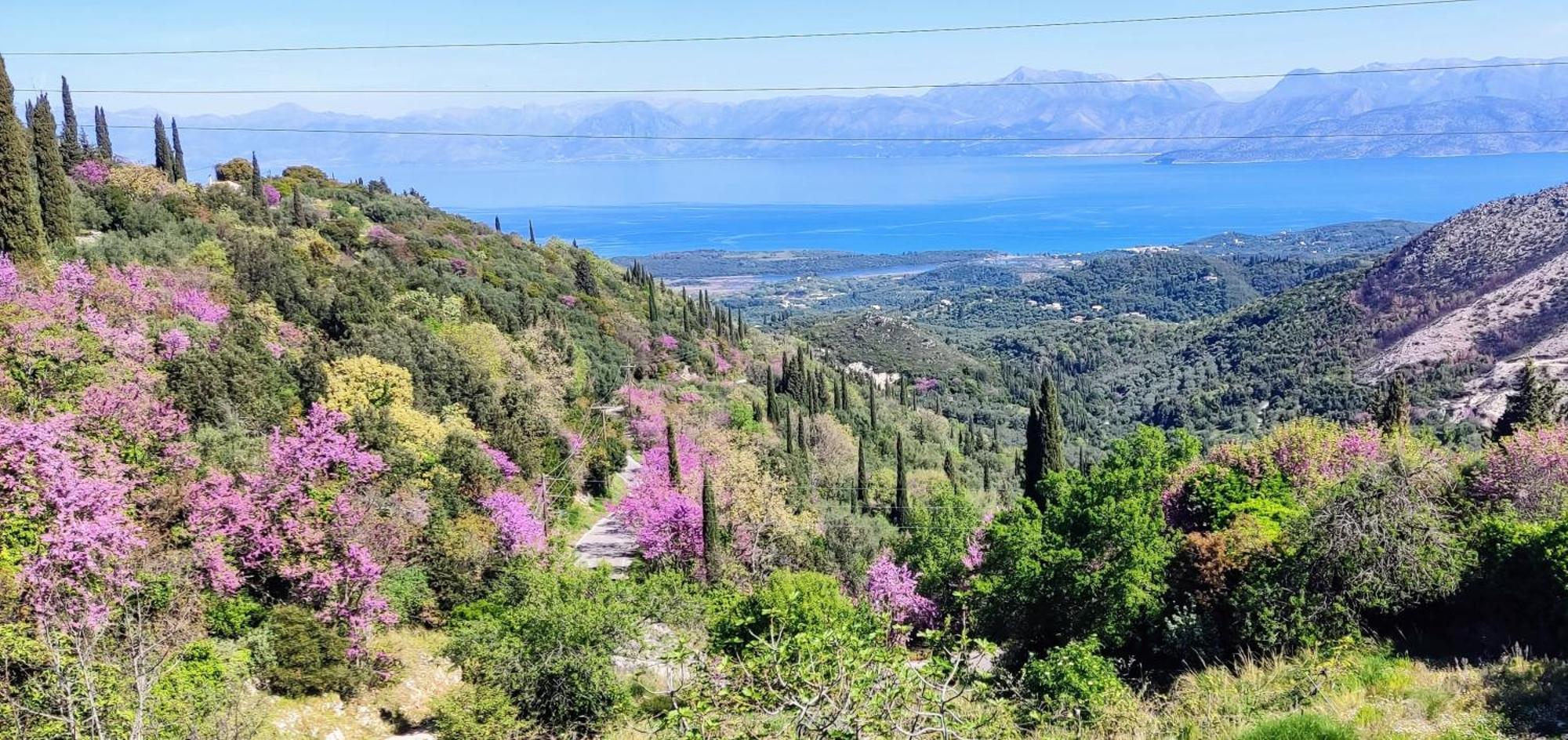 Castello Di Lafki Apartment Corfu  Luaran gambar