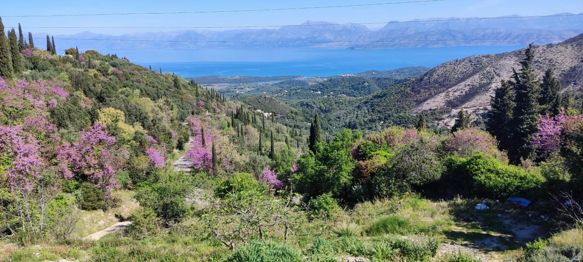 Castello Di Lafki Apartment Corfu  Luaran gambar